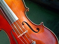 Violin